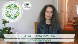 Read more about the article Ana Luísa Bolsa // Leguminosas II