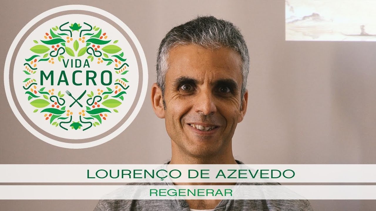 Read more about the article Lourenço de Azevedo // Regenerar