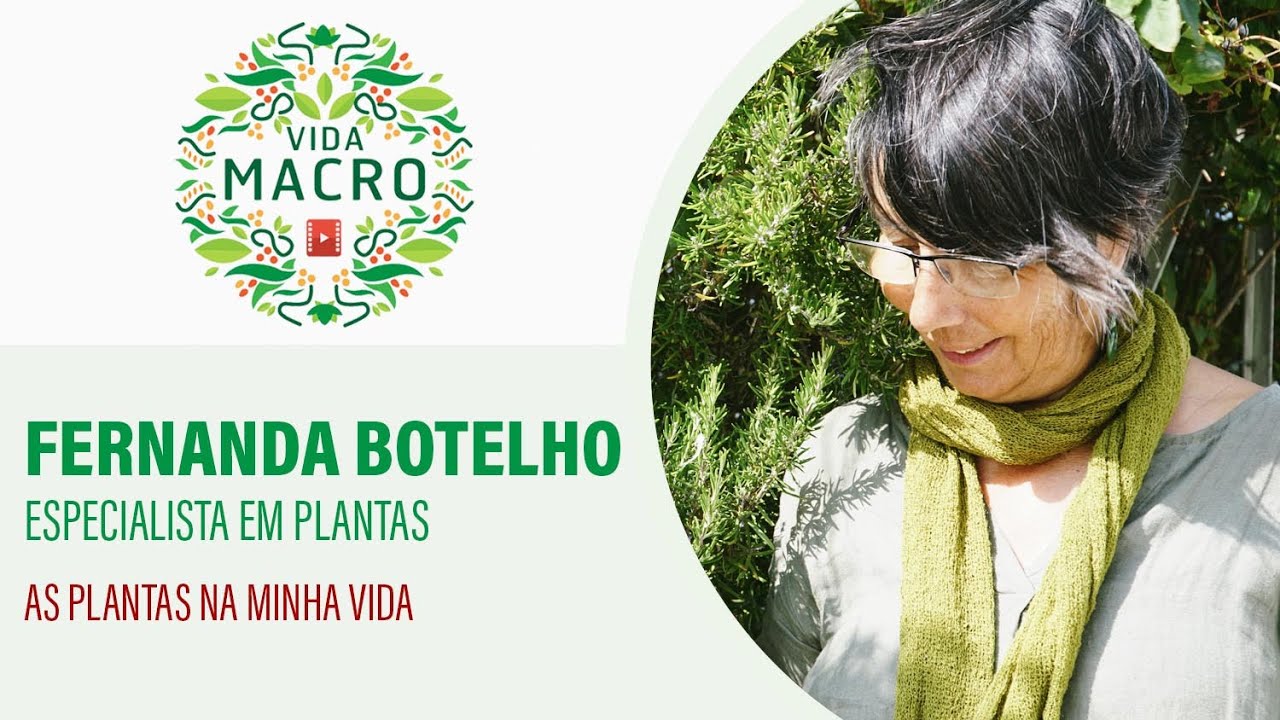 Read more about the article Fernanda Botelho // As plantas na minha vida
