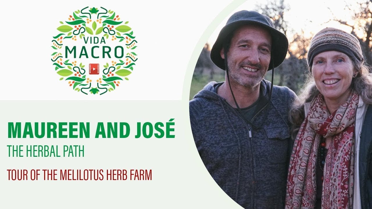 Read more about the article José e Maureen // The Herbal Path