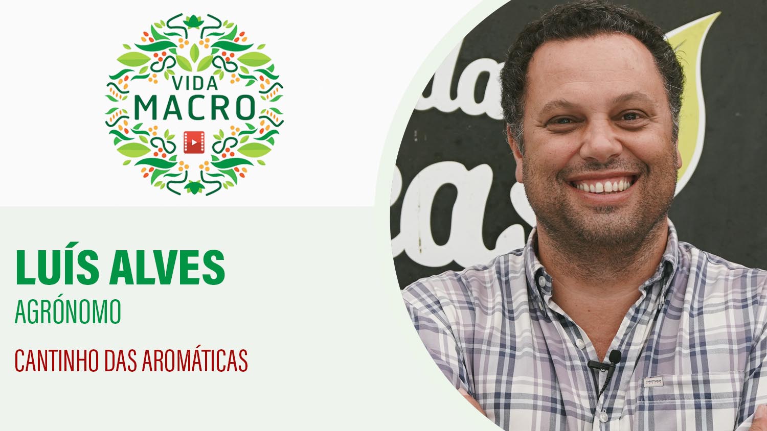 Read more about the article Luis Alves // Cantinho das Aromáticas